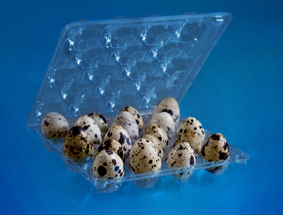 Упаковка для перепелиных яиц ПК-07У